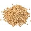 Soybean Seeds