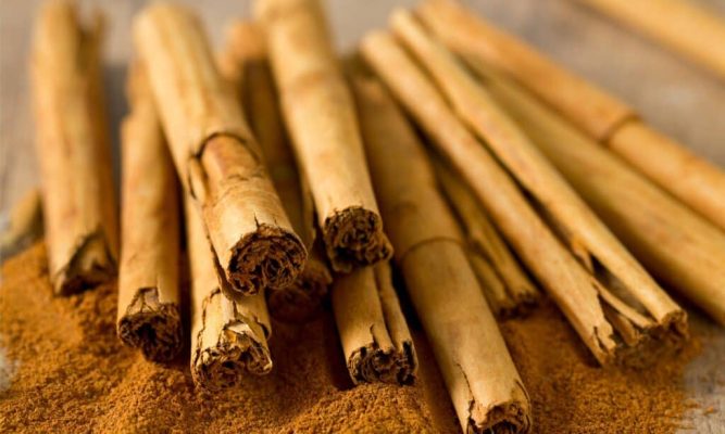 Vietnamese-cinnamon-benefits-01