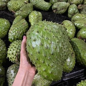 柔らかく乾燥したサワーソップ 3個
