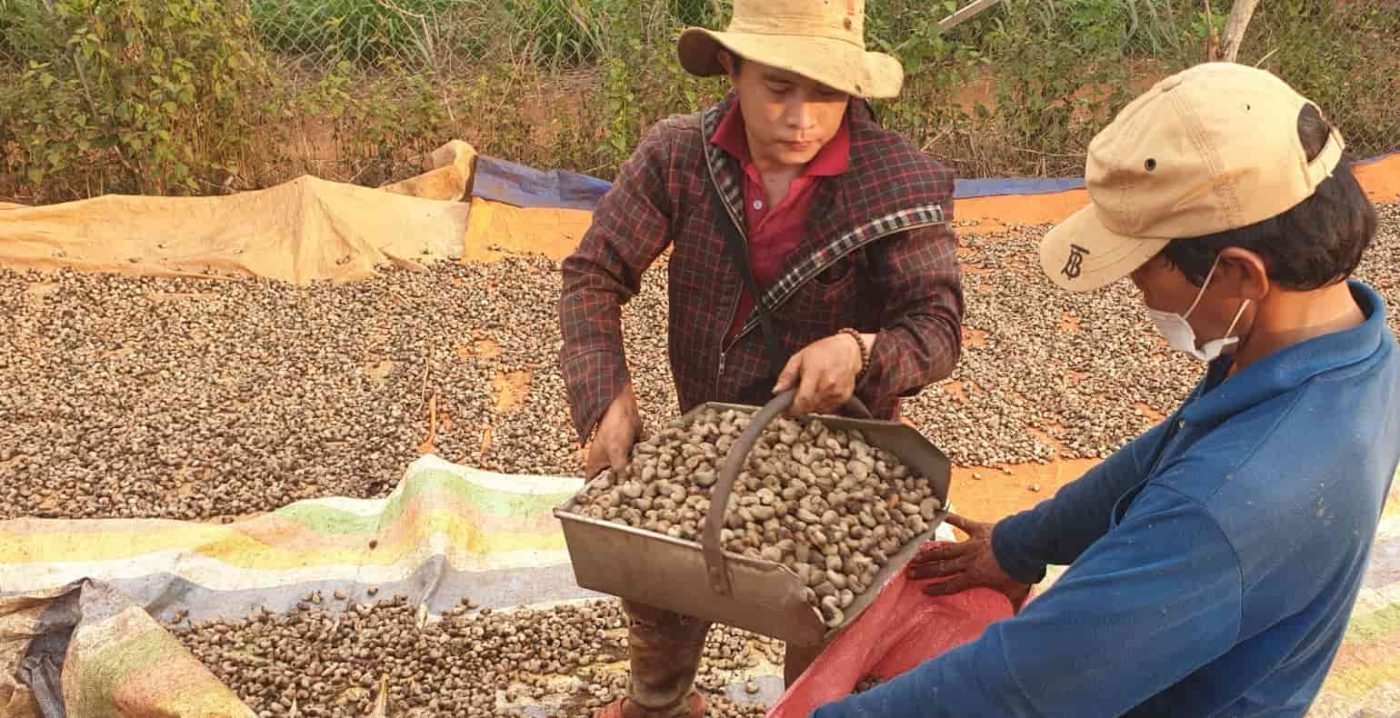 견과류 제조업체 5
