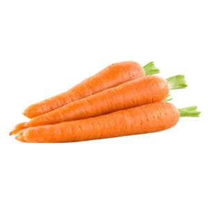 Fresh Carrot