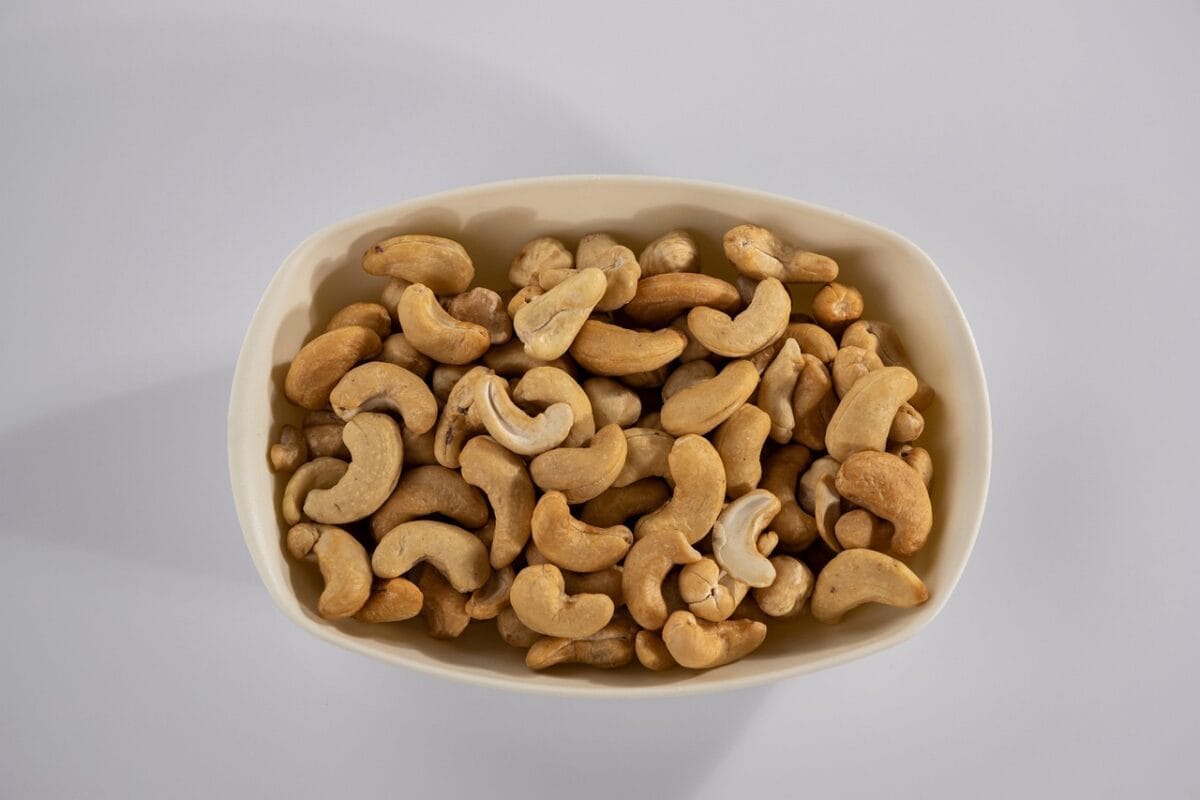 بندق 5593538 1280