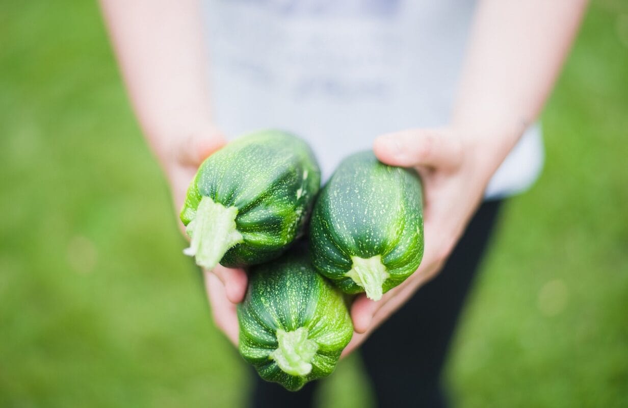 How to choose fresh vegetables 1 zucchinis 1869941 1280