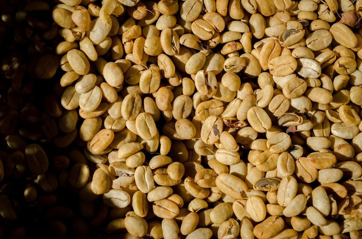 حبوب البن الروبوستا الخضراء: مصدر عالي الجودة لتجار الجملة 1 قهوة 8066888 1280
