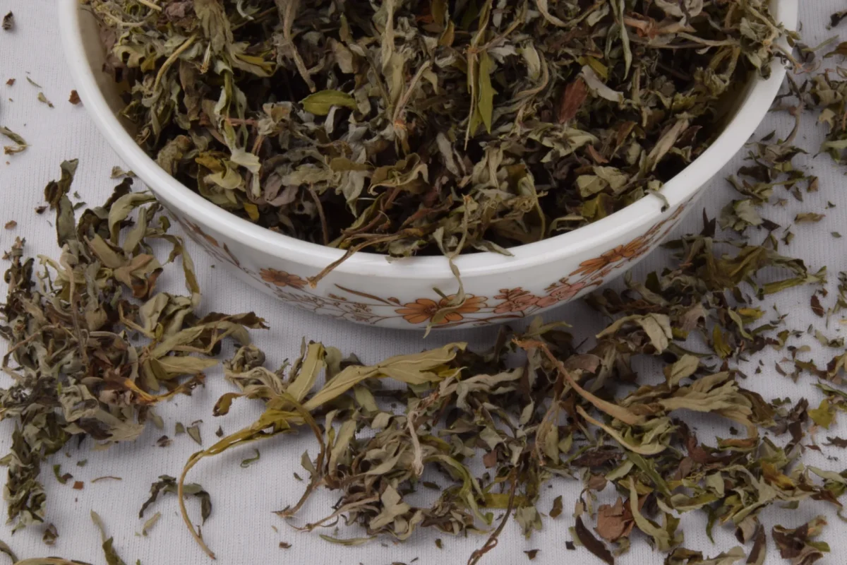 艾蒿干品的主要工业用途有哪些?2 DSC 0623