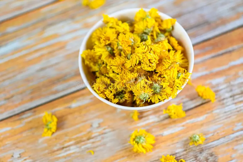 干菊花——批发商的优质原料 3 中国菊花茶干芽草本木质背景干黄色 274133569