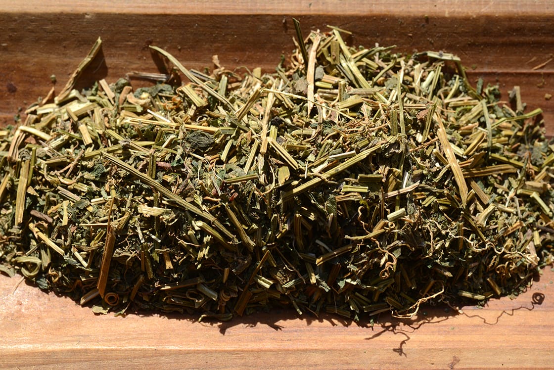绞股蓝